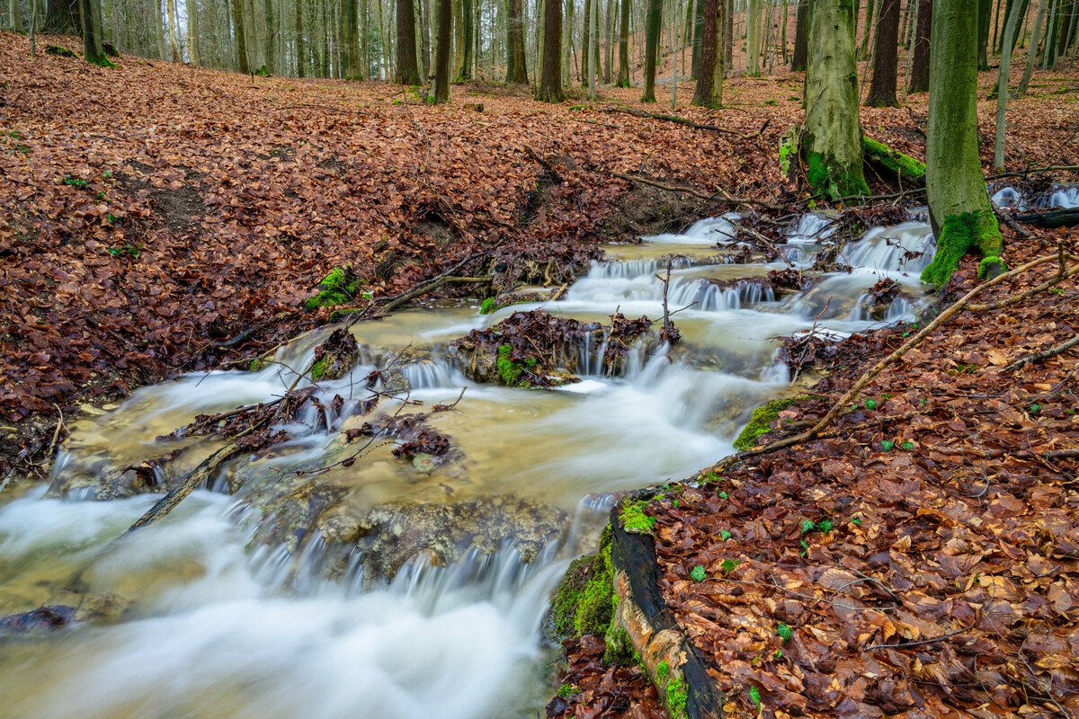 Natürliche Schönheit und kulturelle Tiefe: Siwa Springs erkunden - Naturschutz und Umweltbewusstsein